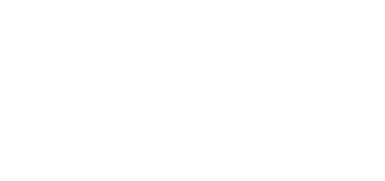 VIRginia International Raceway Logo White
