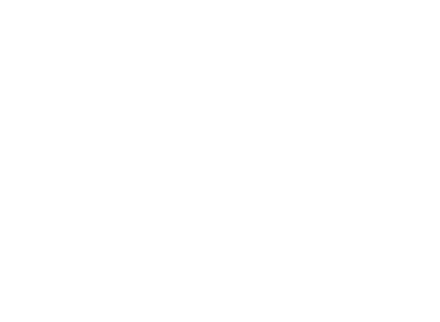 white VIR logo no wordmark