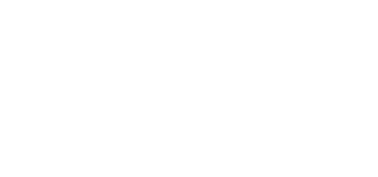 white vir logo